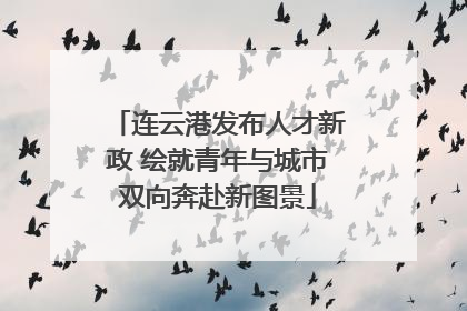 连云港发布人才新政 绘就青年与城市双向奔赴新图景
