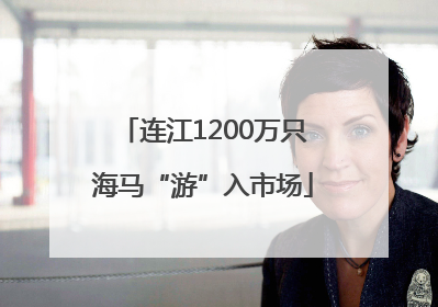 连江1200万只海马“游”入市场