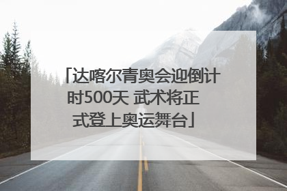 达喀尔青奥会迎倒计时500天 武术将正式登上奥运舞台
