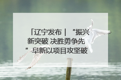 辽宁发布｜“振兴新突破 决胜勇争先”阜新以项目攻坚破解发展瓶颈 经济发展实现良好开局