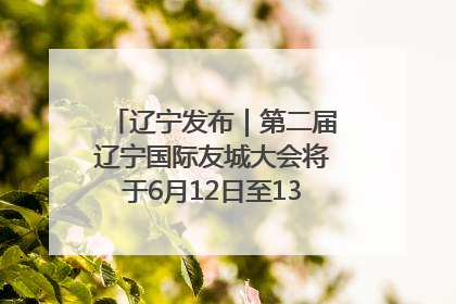 辽宁发布｜第二届辽宁国际友城大会将于6月12日至13日在沈阳举办