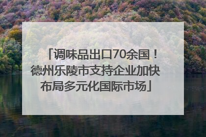 调味品出口70余国！德州乐陵市支持企业加快布局多元化国际市场