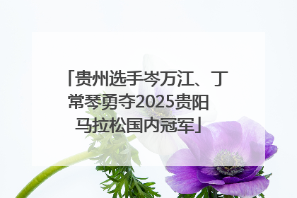 贵州选手岑万江、丁常琴勇夺2025贵阳马拉松国内冠军
