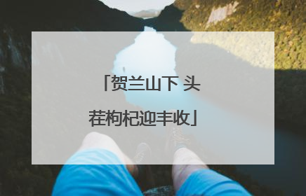 贺兰山下 头茬枸杞迎丰收