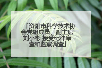 资阳市科学技术协会党组成员、副主席刘小彬 接受纪律审查和监察调查