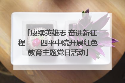 赓续英雄志 奋进新征程——四平中院开展红色教育主题党日活动