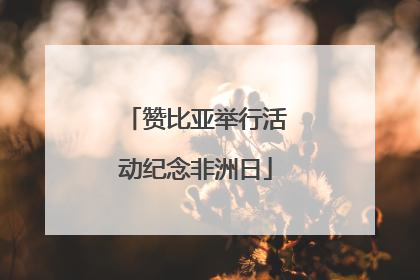 赞比亚举行活动纪念非洲日