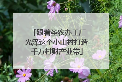 跟着圣农办工厂 光泽这个小山村打造千万村财产业带