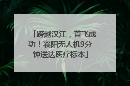 跨越汉江，首飞成功！襄阳无人机9分钟送达医疗标本