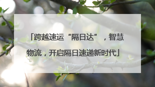 跨越速运“隔日达”，智慧物流，开启隔日速递新时代