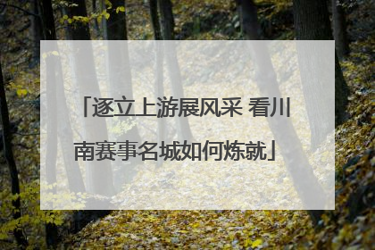 逐立上游展风采 看川南赛事名城如何炼就