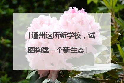 通州这所新学校，试图构建一个新生态