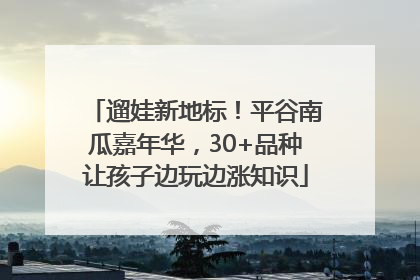 遛娃新地标！平谷南瓜嘉年华，30+品种让孩子边玩边涨知识