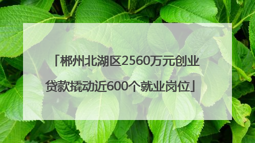 郴州北湖区2560万元创业贷款撬动近600个就业岗位