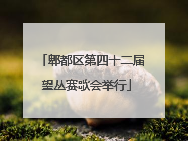 郫都区第四十二届望丛赛歌会举行