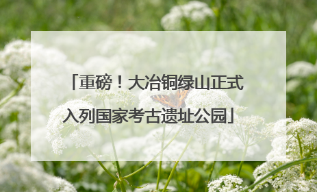重磅！大冶铜绿山正式入列国家考古遗址公园