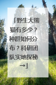 野生大熊猫有多少？种群如何分布？科研团队实地探秘→