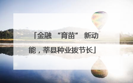 金融 “育苗” 新动能，莘县种业拔节长