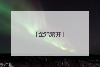 金鸡菊开
