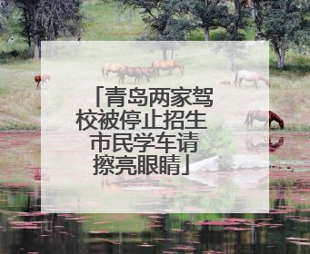 青岛两家驾校被停止招生 市民学车请擦亮眼睛