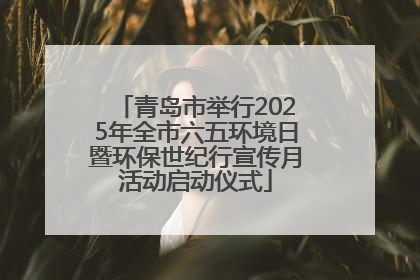 青岛市举行2025年全市六五环境日暨环保世纪行宣传月活动启动仪式