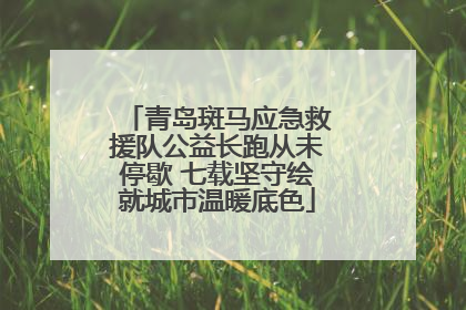 青岛斑马应急救援队公益长跑从未停歇 七载坚守绘就城市温暖底色