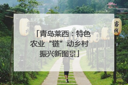 青岛莱西：特色农业“链”动乡村振兴新图景