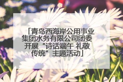 青岛西海岸公用事业集团水务有限公司团委开展“诗话端午 礼敬传统”主题活动