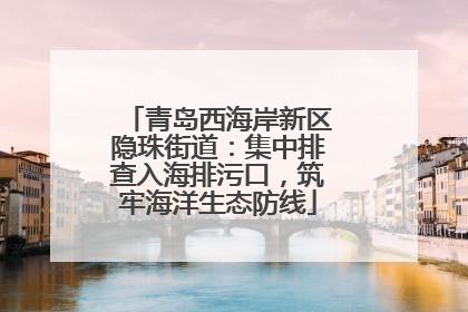 青岛西海岸新区隐珠街道：集中排查入海排污口，筑牢海洋生态防线