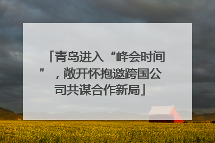 青岛进入“峰会时间”，敞开怀抱邀跨国公司共谋合作新局