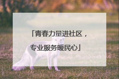 青春力量进社区，专业服务暖民心