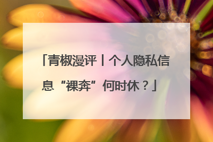 青椒漫评丨个人隐私信息“裸奔”何时休？