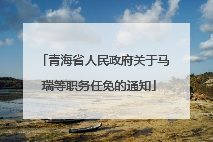 青海省人民政府关于马瑞等职务任免的通知