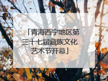 青海西宁地区第三十七届藏族文化艺术节开幕