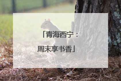 青海西宁：周末享书香