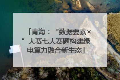 青海：“数据要素×”大赛七大赛题构建绿电算力融合新生态