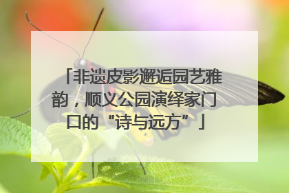 非遗皮影邂逅园艺雅韵，顺义公园演绎家门口的“诗与远方”