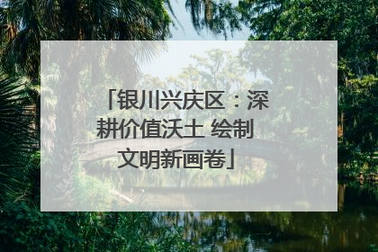 银川兴庆区：深耕价值沃土 绘制文明新画卷