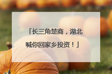 长三角楚商，湖北喊你回家乡投资！