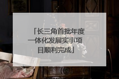 长三角首批年度一体化发展实事项目顺利完成