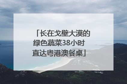 长在戈壁大漠的绿色蔬菜38小时直达粤港澳餐桌