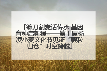 镰刀割麦话传承 基因育种启新程——第十届杨凌小麦文化节见证“颗粒归仓”时空跨越