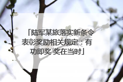陆军某旅落实新条令表彰奖励相关规定：有功即奖 奖在当时