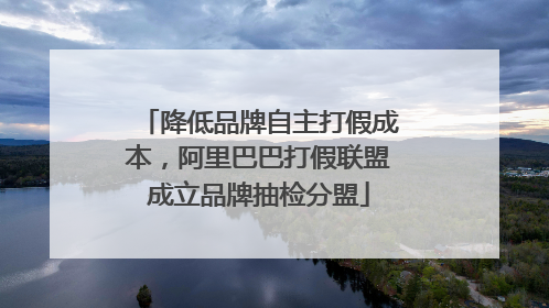 降低品牌自主打假成本，阿里巴巴打假联盟成立品牌抽检分盟