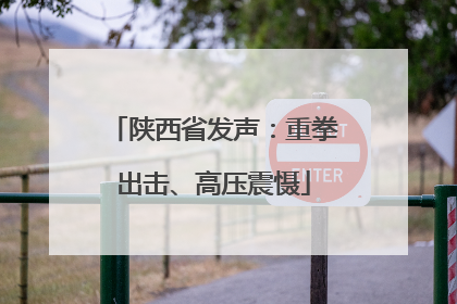陕西省发声：重拳出击、高压震慑