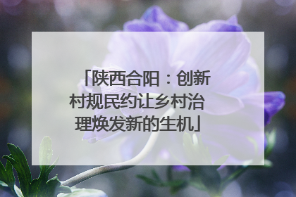 陕西合阳：创新村规民约让乡村治理焕发新的生机