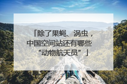 除了果蝇、涡虫，中国空间站还有哪些“动物航天员”