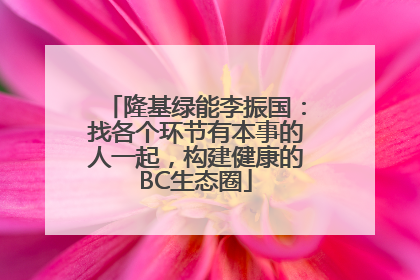 隆基绿能李振国：找各个环节有本事的人一起，构建健康的BC生态圈