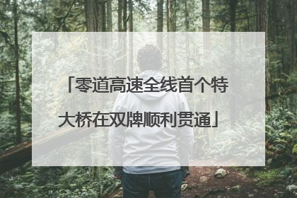 零道高速全线首个特大桥在双牌顺利贯通