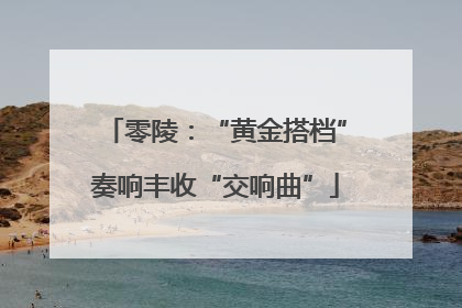 零陵：“黄金搭档”奏响丰收“交响曲”